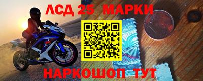 индика Гусев
