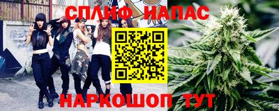 шишки Дубна
