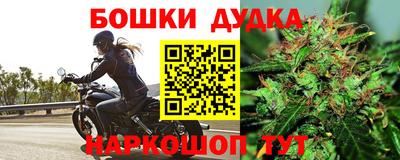 индика Гусев