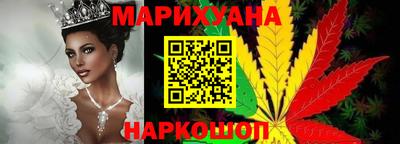 индика Гусев