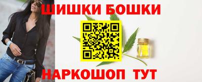 индика Гусев