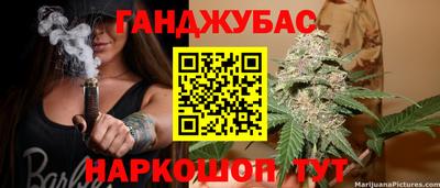 гашик Донской