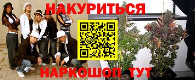 гашик Донской