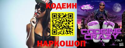 индика Гусев