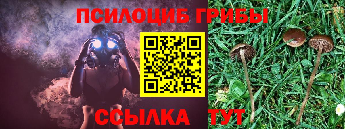 Псилоцибиновые грибы Psilocybe  Псилоцибиновые грибы Psilocybine cubensis  Наро-Фоминск  Вход с VPN 